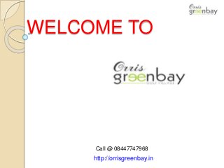 WELCOME TO
http://orrisgreenbay.in
Call @ 08447747968
 