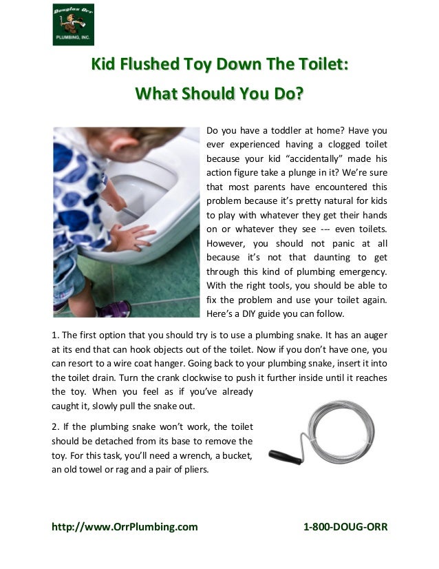 Kid Flushed Toy Down The Toilet What Should You Do?