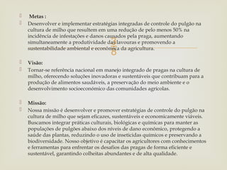 
 Metas :
 Desenvolver e implementar estratégias integradas de controle do pulgão na
cultura de milho que resultem em uma redução de pelo menos 50% na
incidência de infestações e danos causados pela praga, aumentando
simultaneamente a produtividade das lavouras e promovendo a
sustentabilidade ambiental e econômica da agricultura.
 Visão:
 Tornar-se referência nacional em manejo integrado de pragas na cultura de
milho, oferecendo soluções inovadoras e sustentáveis que contribuam para a
produção de alimentos saudáveis, a preservação do meio ambiente e o
desenvolvimento socioeconómico das comunidades agrícolas.
 Missão:
 Nossa missão é desenvolver e promover estratégias de controle do pulgão na
cultura de milho que sejam eficazes, sustentáveis e economicamente viáveis.
Buscamos integrar práticas culturais, biológicas e químicas para manter as
populações de pulgões abaixo dos níveis de dano econômico, protegendo a
saúde das plantas, reduzindo o uso de inseticidas químicos e preservando a
biodiversidade. Nosso objetivo é capacitar os agricultores com conhecimentos
e ferramentas para enfrentar os desafios das pragas de forma eficiente e
sustentável, garantindo colheitas abundantes e de alta qualidade.
 