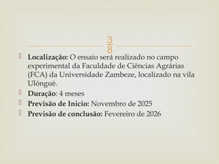 
 Localização: O ensaio será realizado no campo
experimental da Faculdade de Ciências Agrárias
(FCA) da Universidade Zambeze, localizado na vila
Ulónguè.
 Duração: 4 meses
 Previsão de Inicio: Novembro de 2025
 Previsão de conclusão: Fevereiro de 2026
 