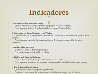 
 1. Incidência de Infestação de Pulgões:
 - Número de plantas de milho infestadas por pulgões por unidade de área.
 - Percentagem de lavouras de milho afectadas por infestações de pulgões.
 2. Severidade dos Danos Causados pelos Pulgões:
 - Grau de danos nas plantas de milho causados pela alimentação e transmissão de doenças pelos
pulgões.
 - Percentagem de área foliar danificada ou número de espigas comprometidas devido à
infestação.
 3. Produtividade do Milho:
 - Rendimento de grãos de milho por hectare.
 - Peso médio das espigas de milho por planta.
 4. Eficiência do Controle Biológico:
 - Número de inimigos naturais presentes nas lavouras de milho.
 - Percentagem de redução na população de pulgões devido à actividade dos inimigos naturais.
 5. Uso de Insecticidas Químicos:
 - Quantidade de insecticidas aplicados por hectare.
 - Frequência e intensidade das aplicações de insecticidas ao longo do ciclo da cultura.
Indicadores
 