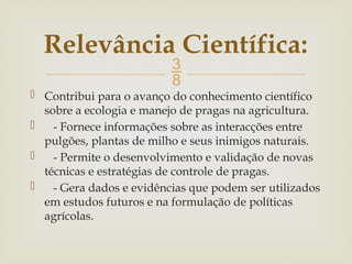 
 Contribui para o avanço do conhecimento científico
sobre a ecologia e manejo de pragas na agricultura.
 - Fornece informações sobre as interacções entre
pulgões, plantas de milho e seus inimigos naturais.
 - Permite o desenvolvimento e validação de novas
técnicas e estratégias de controle de pragas.
 - Gera dados e evidências que podem ser utilizados
em estudos futuros e na formulação de políticas
agrícolas.
Relevância Científica:
 