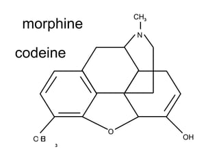 O O OH N CH 3 morphine H C 3 codeine 