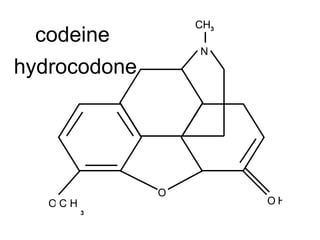 O O O N CH 3 H C 3 codeine H hydrocodone 