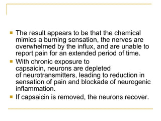 The result appears to be that the chemical mimics a burning sensation, the nerves are overwhelmed by the influx, and are unable to report pain for an extended period of time.  With chronic exposure to capsaicin, neurons are depleted of neurotransmitters, leading to reduction in sensation of pain and blockade of neurogenic inflammation.  If capsaicin is removed, the neurons recover.  
