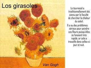 Le tournesol a traditionnellement été connu par la faculté  de chercher la chaleur du soleil. Il a eu des problèmes sérieux pour peindre ces fleurs puisqu'elles se fanaient très rapide, or cela a travaillé dans celles-ci jour et nuit.  Van Gogh Los girasoles 
