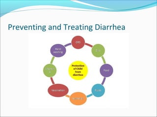 Preventing and Treating Diarrhea
 