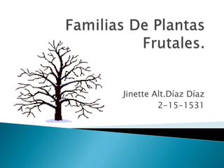 Jinette Alt.Díaz Díaz
2-15-1531
 