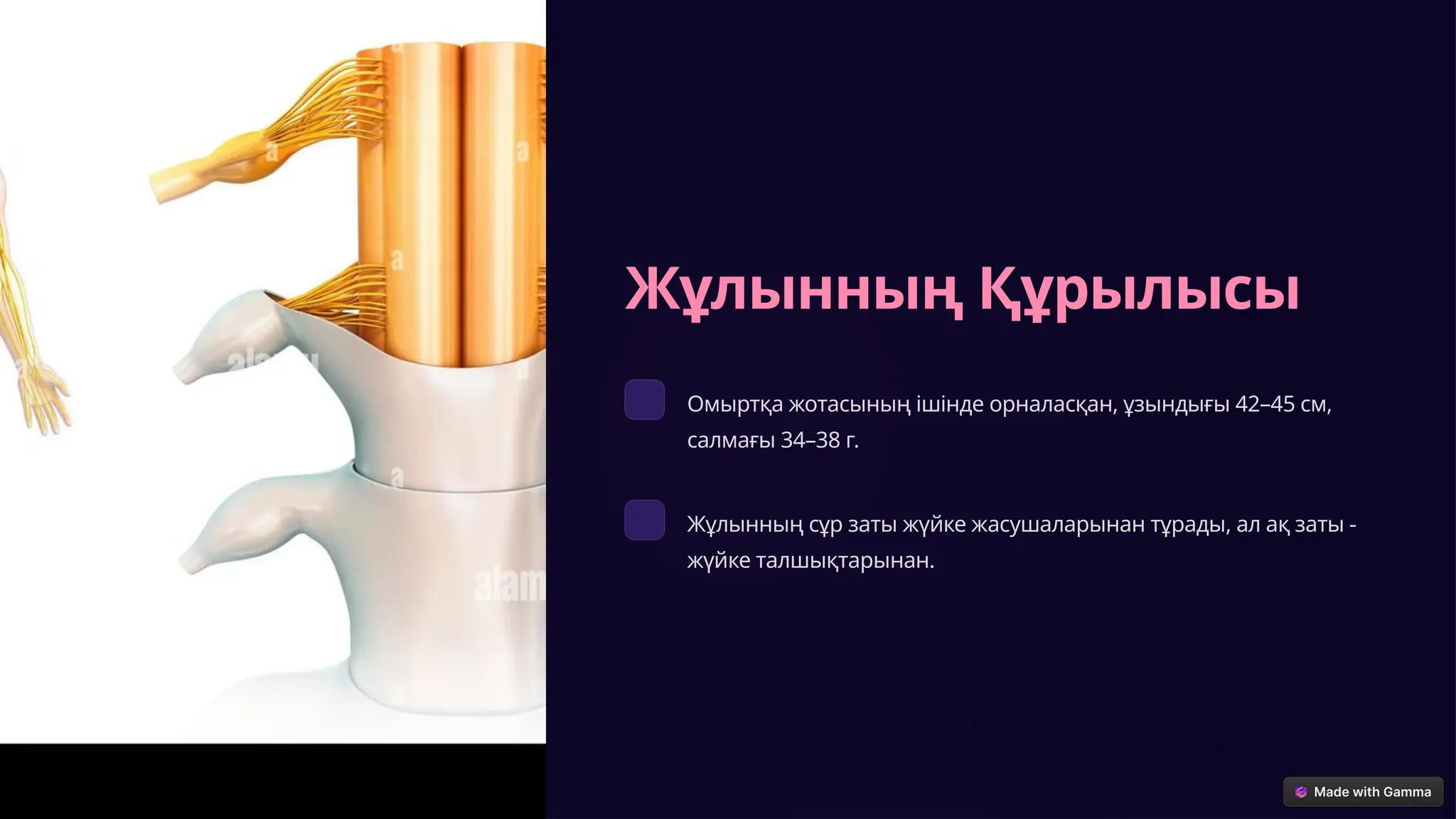 Үйдегі шлюхалардың порно видеолары