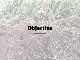 Objectius
 