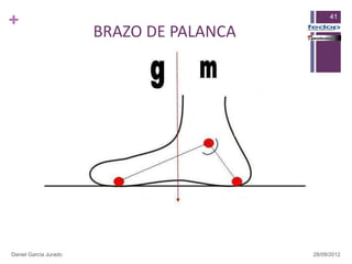 +                                               41

                       BRAZO DE PALANCA




Daniel García Jurado                      28/09/2012
 