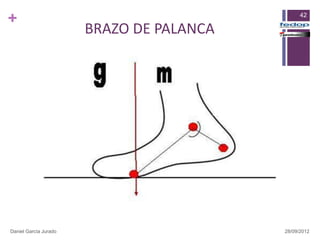 +                                               42

                       BRAZO DE PALANCA




Daniel García Jurado                      28/09/2012
 