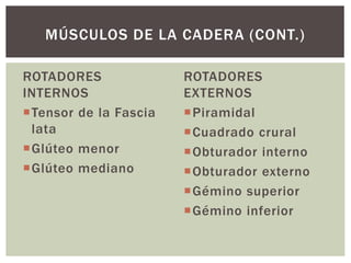 ROTADORES
INTERNOS
Tensor de la Fascia
lata
Glúteo menor
Glúteo mediano
ROTADORES
EXTERNOS
Piramidal
Cuadrado crural
Obturador interno
Obturador externo
Gémino superior
Gémino inferior
MÚSCULOS DE LA CADERA (CONT.)
 