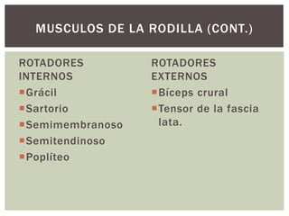 ROTADORES
INTERNOS
Grácil
Sartorio
Semimembranoso
Semitendinoso
Poplíteo
ROTADORES
EXTERNOS
Bíceps crural
Tensor de la fascia
lata.
MUSCULOS DE LA RODILLA (CONT.)
 