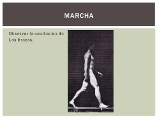 Observar la oscilación de
Los brazos.
MARCHA
 