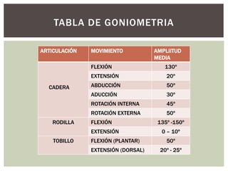 TABLA DE GONIOMETRIA
ARTICULACIÓN MOVIMIENTO AMPLIITUD
MEDIA
CADERA
FLEXIÓN 130º
EXTENSIÓN 20º
ABDUCCIÓN 50º
ADUCCIÓN 30º
ROTACIÓN INTERNA 45º
ROTACIÓN EXTERNA 50º
RODILLA FLEXIÓN 135º -150º
EXTENSIÓN 0 – 10º
TOBILLO FLEXIÓN (PLANTAR) 50º
EXTENSIÓN (DORSAL) 20º - 25º
 