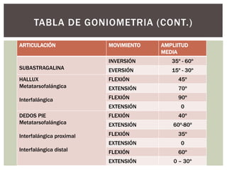 TABLA DE GONIOMETRIA (CONT.)
ARTICULACIÓN MOVIMIENTO AMPLIITUD
MEDIA
SUBASTRAGALINA
INVERSIÓN 35º - 60º
EVERSIÓN 15º - 30º
HALLUX
Metatarsofalángica
Interfalángica
FLEXIÓN 45º
EXTENSIÓN 70º
FLEXIÓN 90º
EXTENSIÓN 0
DEDOS PIE
Metatarsofalángica
Interfalángica proximal
Interfalángica distal
FLEXIÓN 40º
EXTENSIÓN 60º-80º
FLEXIÓN 35º
EXTENSIÓN 0
FLEXIÓN 60º
EXTENSIÓN 0 – 30º
 