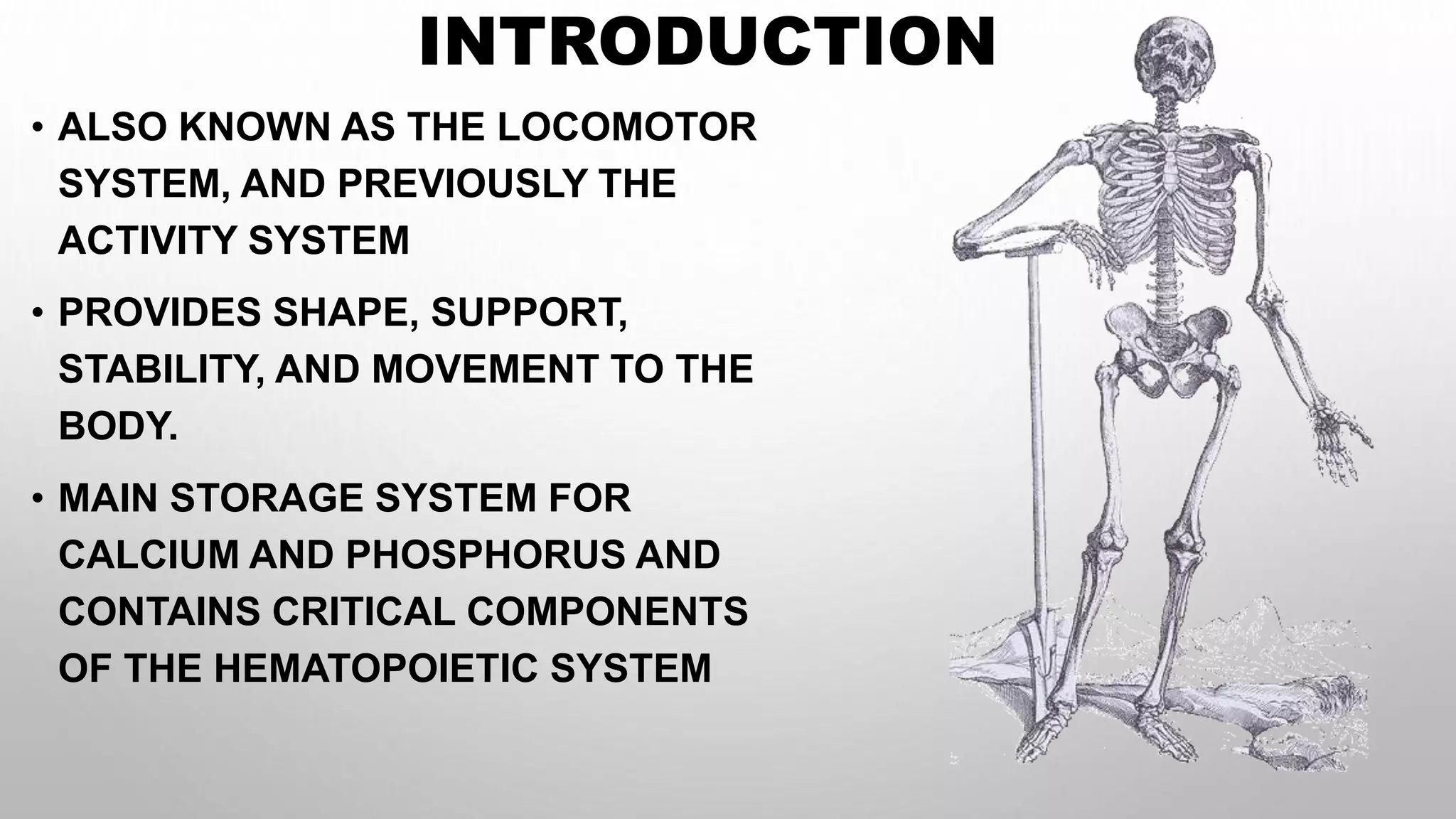 nursing assessment and systemic examination of orthopaedic system | PPTX