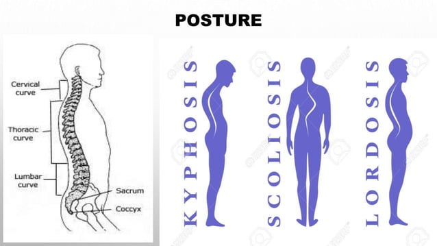 nursing assessment and systemic examination of orthopaedic system ...