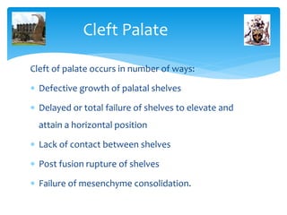 principles of Orthodontic management of cleft lip and palate | PPT