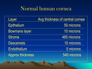 Orthokeratology: A Non-Surgical Approach to Vision Correction.ppt