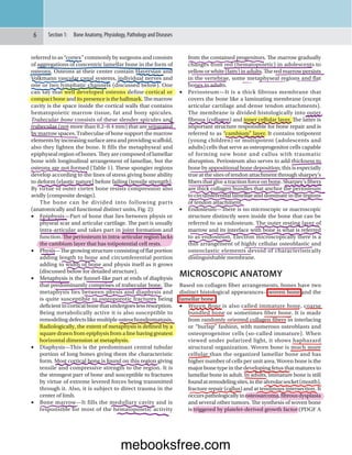 Comprehensive Overview of Bone Structure, Types, and Functions in Human ...