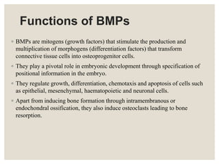 Functions of BMPs
◦ BMPs are mitogens (growth factors) that stimulate the production and
multiplication of morphogens (differentiation factors) that transform
connective tissue cells into osteoprogenitor cells.
◦ They play a pivotal role in embryonic development through specification of
positional information in the embryo.
◦ They regulate growth, differentiation, chemotaxis and apoptosis of cells such
as epithelial, mesenchymal, haematopoietic and neuronal cells.
◦ Apart from inducing bone formation through intramembranous or
endochondral ossification, they also induce osteoclasts leading to bone
resorption.
 