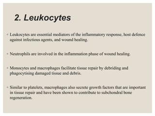 2. Leukocytes
◦ Leukocytes are essential mediators of the inflammatory response, host defence
against infectious agents, and wound healing.
◦ Neutrophils are involved in the inflammation phase of wound healing.
◦ Monocytes and macrophages facilitate tissue repair by debriding and
phagocytising damaged tissue and debris.
◦ Similar to platelets, macrophages also secrete growth factors that are important
in tissue repair and have been shown to contribute to subchondral bone
regeneration.
 