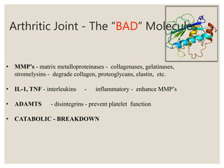 Arthritic Joint - The “BAD” Molecules
• MMP’s - matrix metalloproteinases - collagenases, gelatinases,
stromelysins - degrade collagen, proteoglycans, elastin, etc.
• IL-1, TNF - interleukins - inflammatory - enhance MMP’s
• ADAMTS - disintegrins - prevent platelet function
• CATABOLIC - BREAKDOWN
 