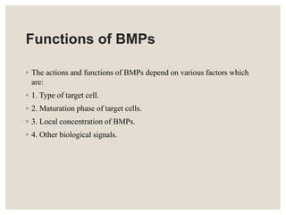 Functions of BMPs
◦ The actions and functions of BMPs depend on various factors which
are:
◦ 1. Type of target cell.
◦ 2. Maturation phase of target cells.
◦ 3. Local concentration of BMPs.
◦ 4. Other biological signals.
 