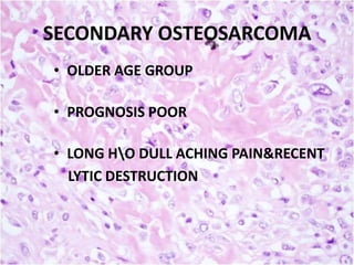 SECONDARY OSTEOSARCOMA
• OLDER AGE GROUP
• PROGNOSIS POOR

• LONG HO DULL ACHING PAIN&RECENT
LYTIC DESTRUCTION

 