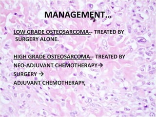 MANAGEMENT…
LOW GRADE OSTEOSARCOMA-- TREATED BY
SURGERY ALONE.
HIGH GRADE OSTEOSARCOMA-- TREATED BY
NEO-ADJUVANT CHEMOTHERAPY
SURGERY 
ADJUVANT CHEMOTHERAPY,

 