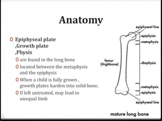 Anatomy
0 Epiphyseal plate
,Growth plate
,Physis
0 are found in the long bone
0 located between the metaphysis
and the epiphysis
0 When a child is fully grown ,
growth plates harden into solid bone.
0 If left untreated, may lead to
unequal limb
 