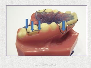 Mahmoud Saleh Mahmoud Fayed
 