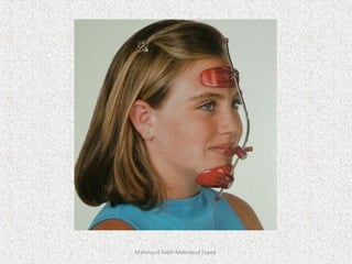 Mahmoud Saleh Mahmoud Fayed
 