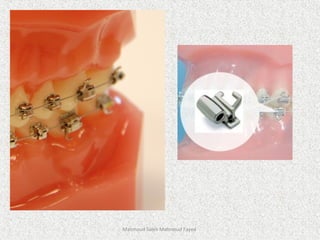 Mahmoud Saleh Mahmoud Fayed
 