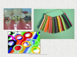 Mahmoud Saleh Mahmoud Fayed
 