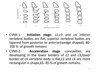 • CVMI-1- Initiation stage- c2,c3 and c4 inferior
vertebral bodies are flat, superior vertebral bodies are
tapered from posterior to anterior(wedge shaped), 80-
100 % of growth remains
• CVMI-2- Acceleration stage -concavities are
developing in the lower borders of c2 and c3,lower
border of c4 vertebral body is flat,c3 and c4 are more
rectangular in shape,65- 85 % of growth remains.
37
 