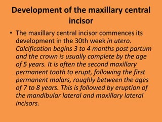 Development of the maxillary central
incisor
• The maxillary central incisor commences its
development in the 30th week in utero.
Calcification begins 3 to 4 months post partum
and the crown is usually complete by the age
of 5 years. It is often the second maxillary
permanent tooth to erupt, following the first
permanent molars, roughly between the ages
of 7 to 8 years. This is followed by eruption of
the mandibular lateral and maxillary lateral
incisors.
 