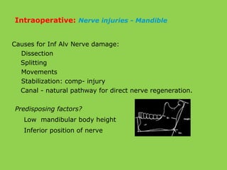 Causes for Inf Alv Nerve damage:
Dissection
Splitting
Movements
Stabilization: comp- injury
Canal - natural pathway for direct nerve regeneration.
Intraoperative: Nerve injuries - Mandible
Predisposing factors?
Low mandibular body height
Inferior position of nerve
 