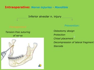 Inferior alveolar n. injury
Prevention:
Management
Tension-free suturing
of nerve
Osteotomy design
Protection
Chisel placement
Decompression of lateral fragment
Steroids
Intraoperative: Nerve injuries - Mandible
 