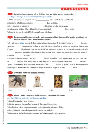 orthographe progressive niveau avancé