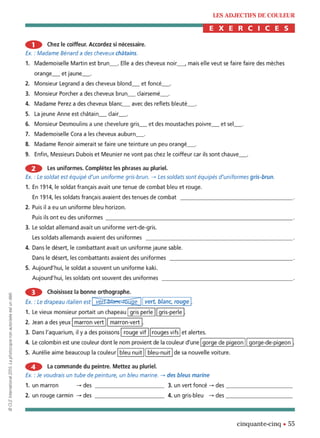 orthographe progressive niveau avancé