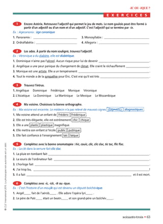 orthographe progressive niveau avancé