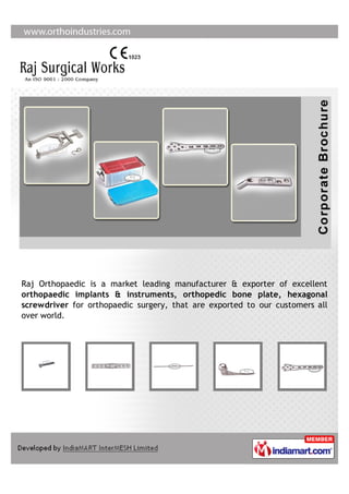 Raj Surgical Works, New Delhi, Orthopaedic Implants Instruments | PDF ...