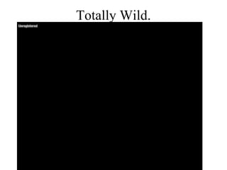 Totally Wild.
 