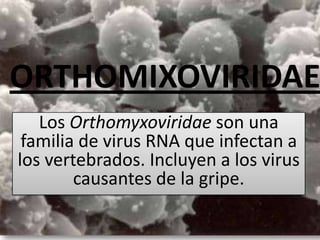 ORTHOMIXOVIRIDAE
Los Orthomyxoviridae son una
familia de virus RNA que infectan a
los vertebrados. Incluyen a los virus
causantes de la gripe.
 