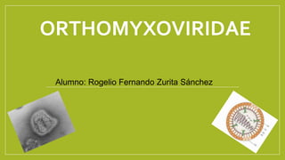 ORTHOMYXOVIRIDAE
Alumno: Rogelio Fernando Zurita Sánchez
 