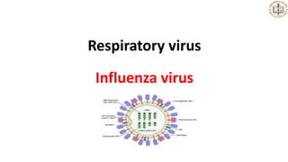 Respiratory virus
Influenza virus
 