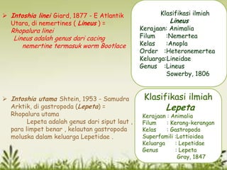 Lineus Order Orthonectida apriliya rohmawati kelas x-2 | PPTX
